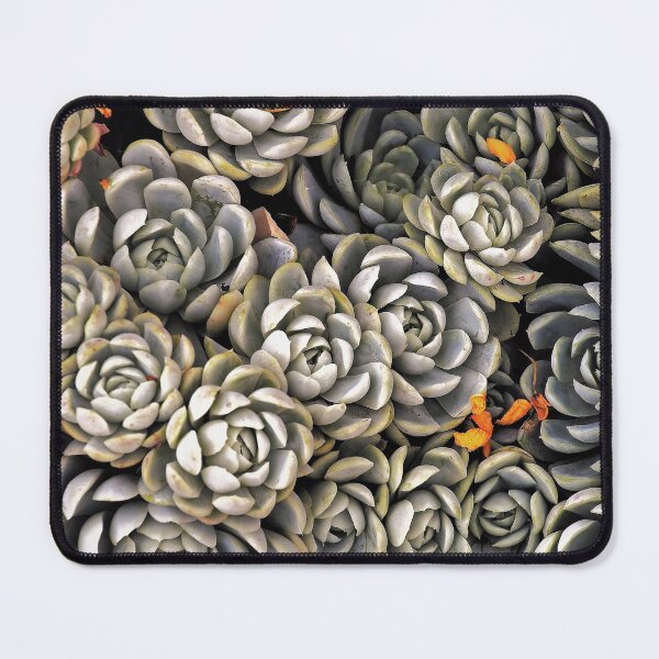 Item preview, Succulove, Succulent Caktus, Echeverias Succulents Native Green Plant designed and sold by DiensDesign.
