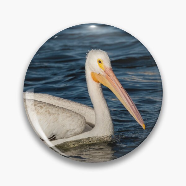 Item preview, Young Pelican 2016-6 designed and sold by Thomasyoung.