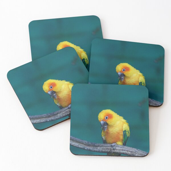 Item preview, Parrot designed and sold by Raureif.