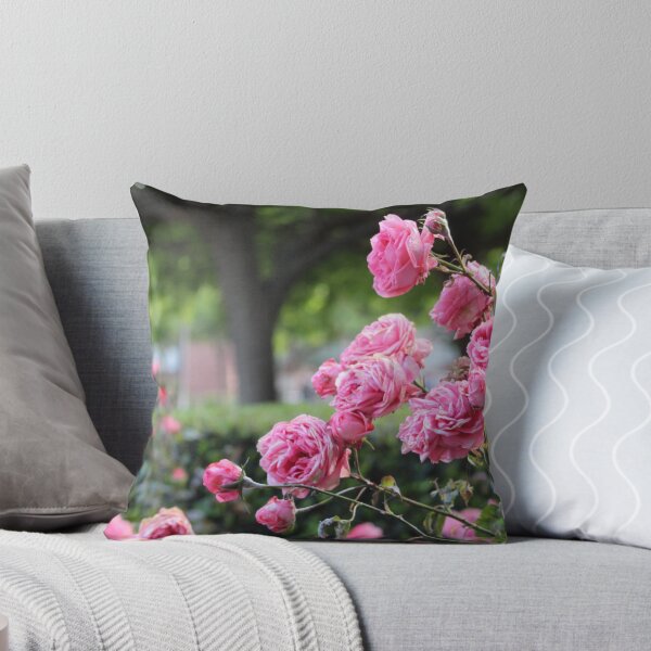 Item preview, The Roses of May designed and sold by PockySamurai.