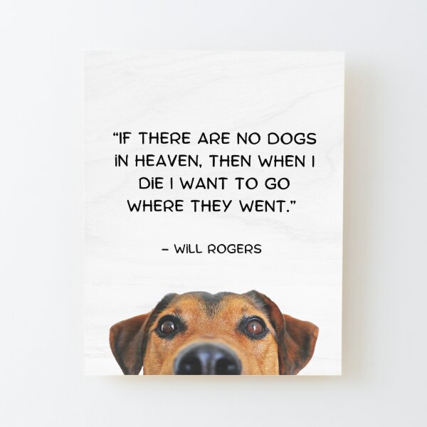 dog goes to heaven quotes