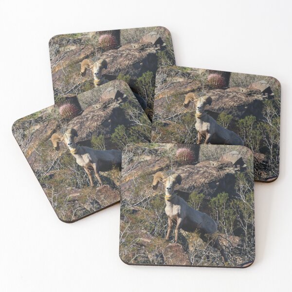 Item preview, An endangered bighorn ram with barrel cacti designed and sold by Scott Collins.