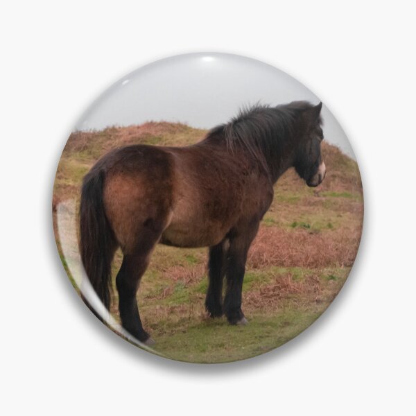 Item preview, Exmoor Pony en las colinas de Sussex. designed and sold by GingerMan2550.