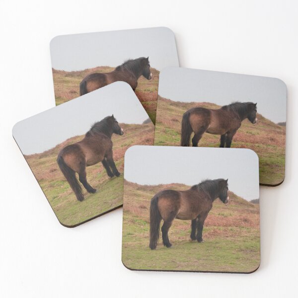 Item preview, Exmoor Pony on the Sussex Hills. designed and sold by GingerMan2550.