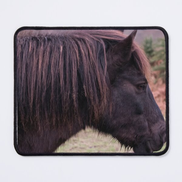 Item preview, Exmoor Pony with a Ginger Tinge. designed and sold by GingerMan2550.