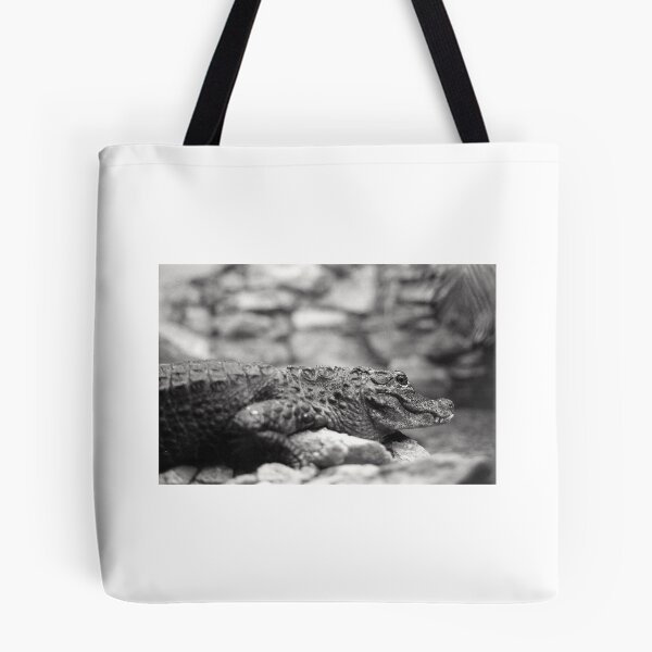 Item preview, Crocodile (Alligator?) in New Mexico designed and sold by dearmoon.