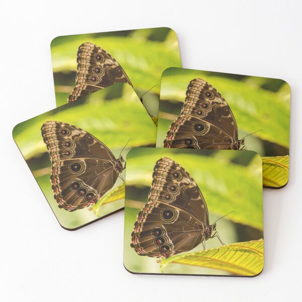Item preview, Beautiful Butterfly designed and sold by Raureif.