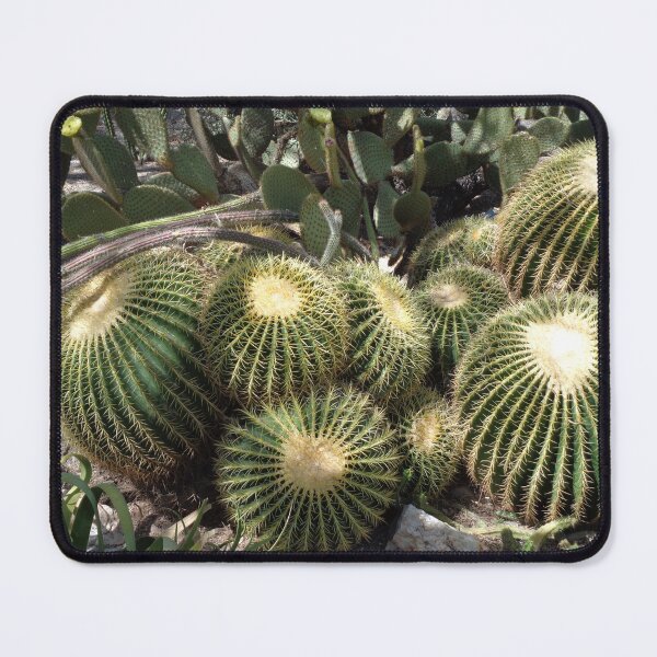 Item preview, Barrel Cacti designed and sold by GardenArtworks.
