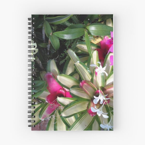 Item preview, Bromeliad designed and sold by GardenArtworks.