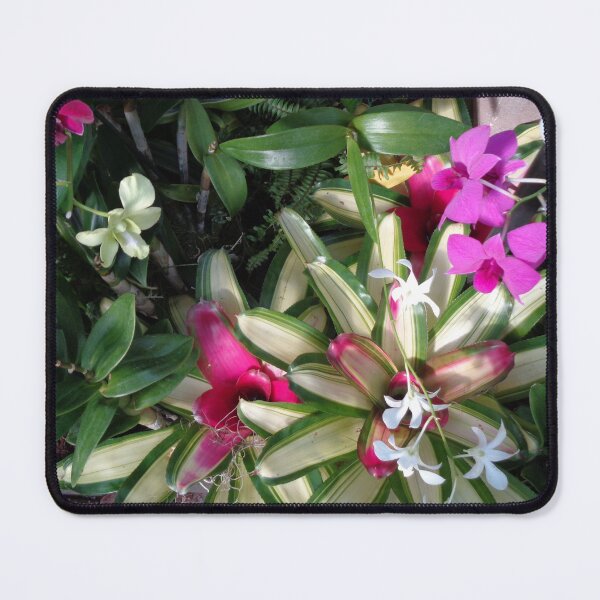 Item preview, Bromeliad designed and sold by GardenArtworks.