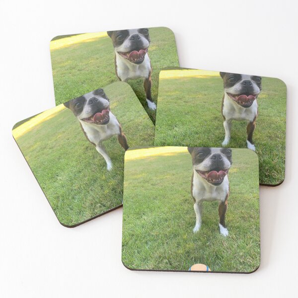 Item preview, Boston terrier with his ball designed and sold by Courtney Carpenter.