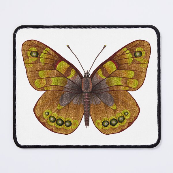 Item preview, Brown Tropical butterfly designed and sold by Elonium.