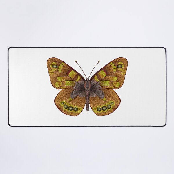 Item preview, Brown Tropical butterfly designed and sold by Elonium.