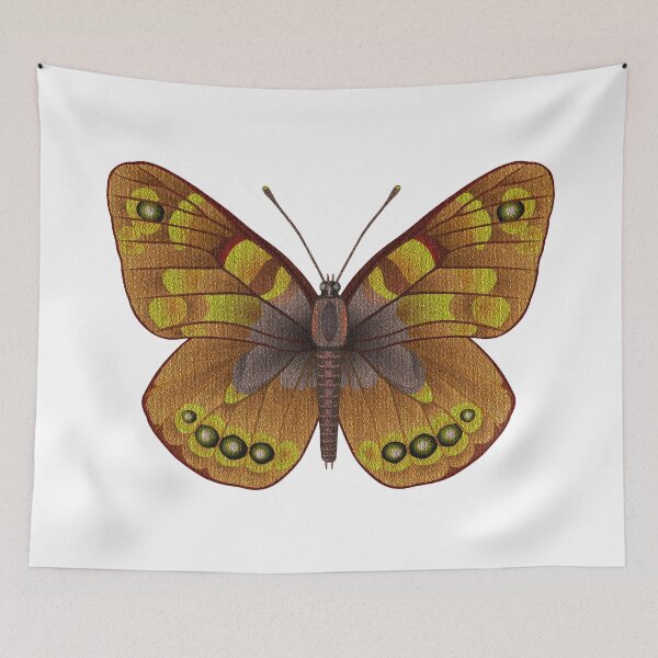 Item preview, Brown Tropical butterfly designed and sold by Elonium.