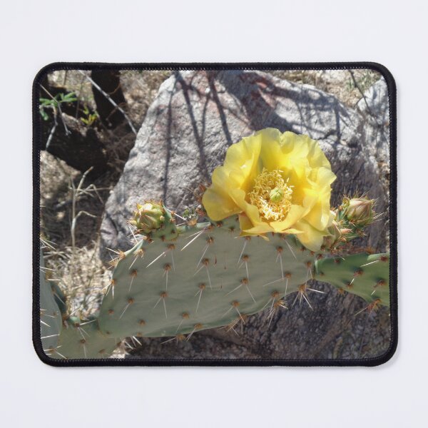 Item preview, Prickly Pear designed and sold by GardenArtworks.