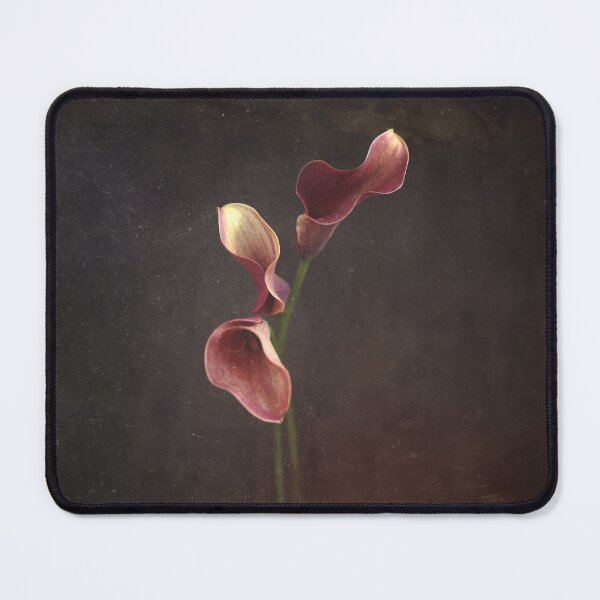 Item preview, Calla Lily designed and sold by crsArt.