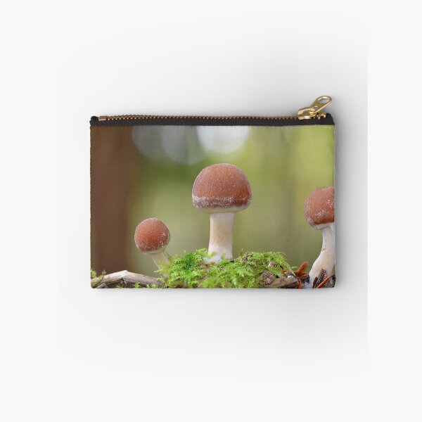 Item preview, Red Edged Brittlestem designed and sold by relayer51.