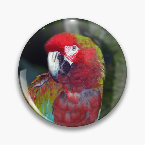 Item preview, Parrot designed and sold by Savannah Gibbs.