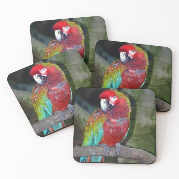 Item preview, Parrot designed and sold by Savannah Gibbs.