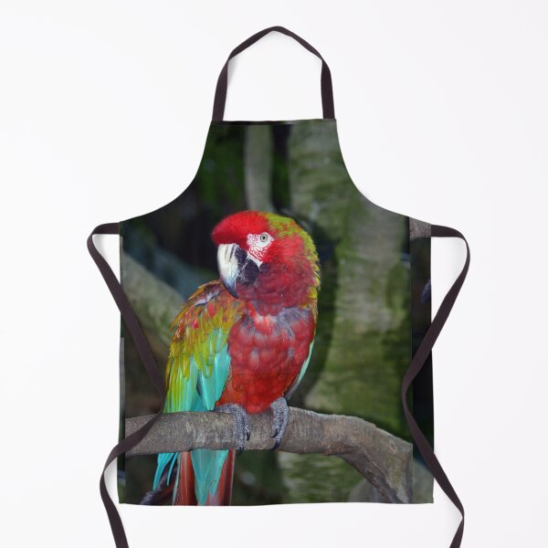 Item preview, Parrot designed and sold by Savannah Gibbs.