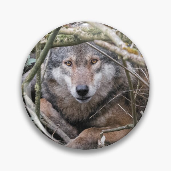 Item preview, Lone Wolf designed and sold by sjfreeman88.