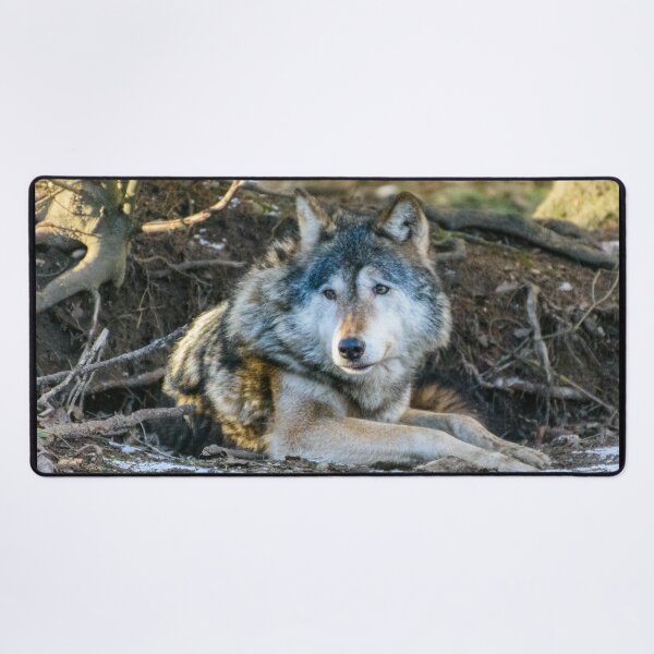 Item preview, Lone Wolf designed and sold by sjfreeman88.