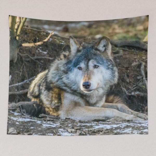 Item preview, Lone Wolf designed and sold by sjfreeman88.