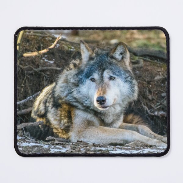 Item preview, Lone Wolf designed and sold by sjfreeman88.