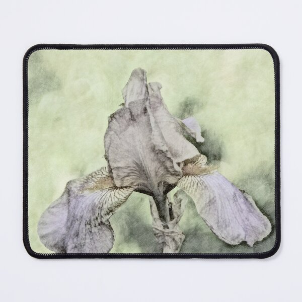 Item preview, Iris designed and sold by John Stuart Webbstock.