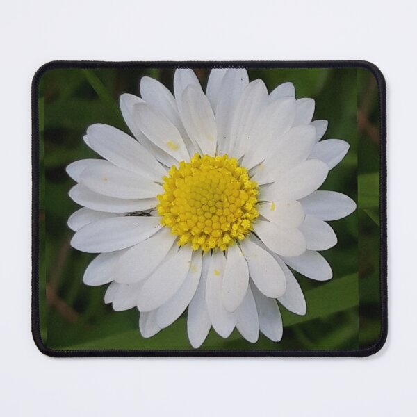 Item preview, Daisy designed and sold by amanda150771.