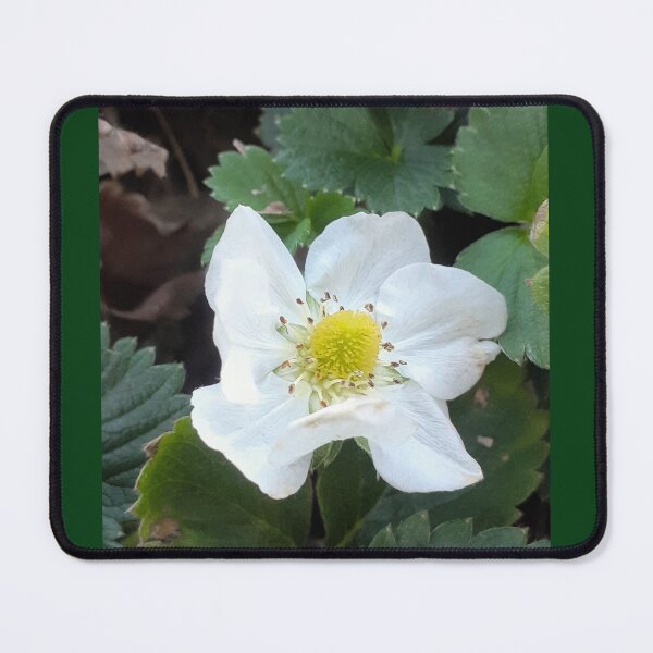 Item preview, Greenhouse Strawberries Flower designed and sold by Jaroffaith.