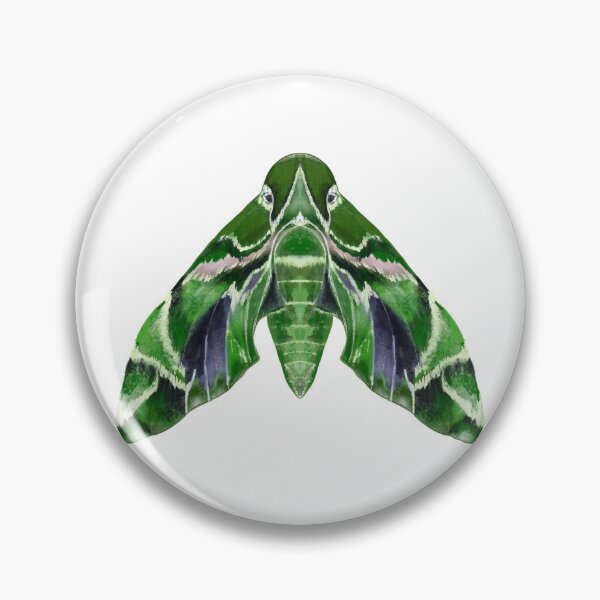 Item preview, Oleander Hawk Moth designed and sold by MeganSteer.