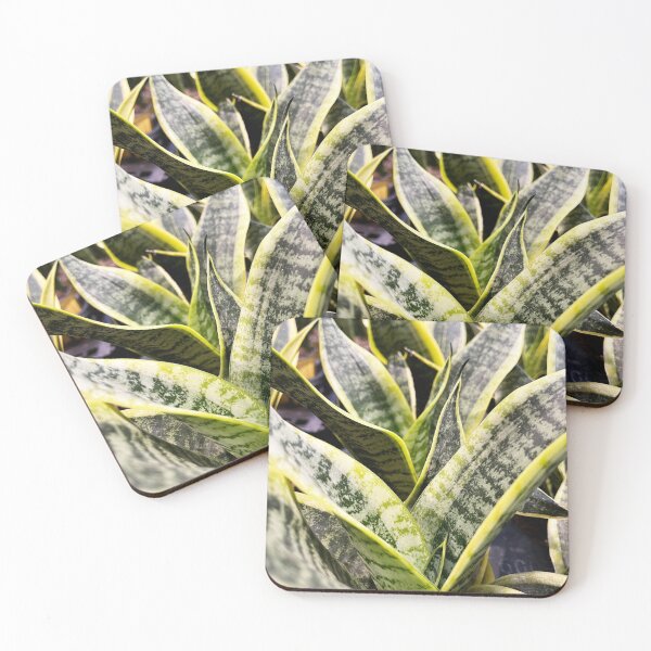 Item preview, Snake Plant designed and sold by DanaAndTheBooks.