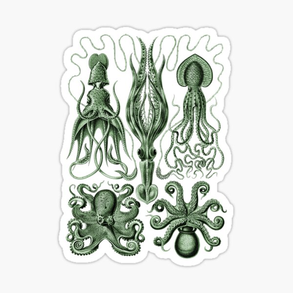 Item preview, Ernst Haeckel Gamochonia Octopus Brunswick Green designed and sold by aimeewilson.