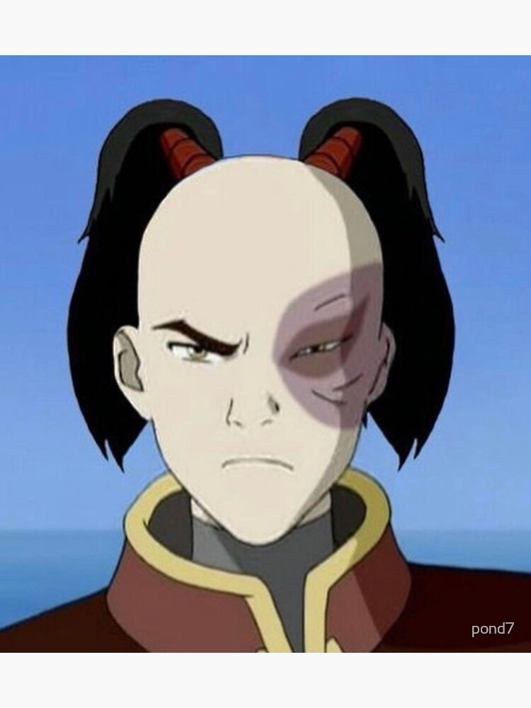 "pigtail zuko" Sticker for Sale by pond7 Redbubble