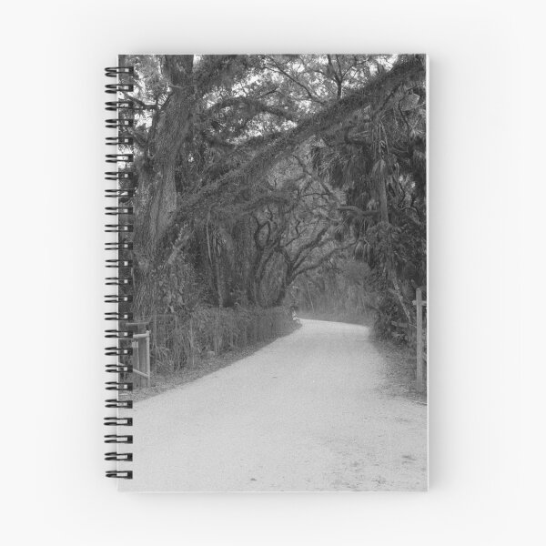 Item preview, Palm Tree Light Pole along a Dusty Florida Lane designed and sold by Bill Wetmore.