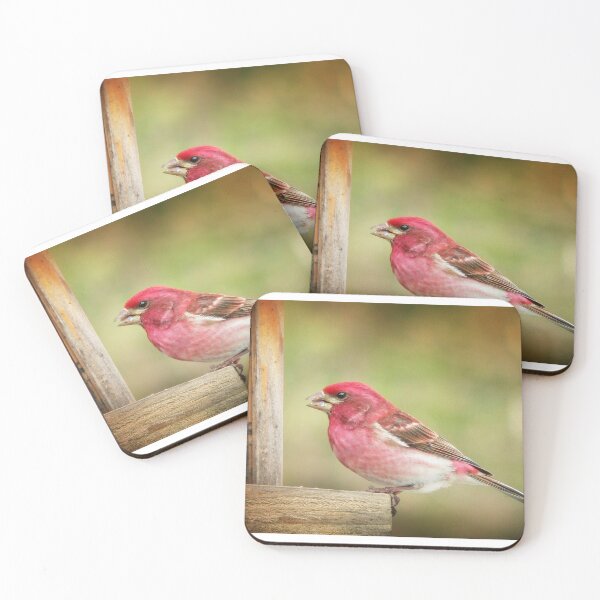 Item preview, Purple Finch designed and sold by Gisele Bedard.