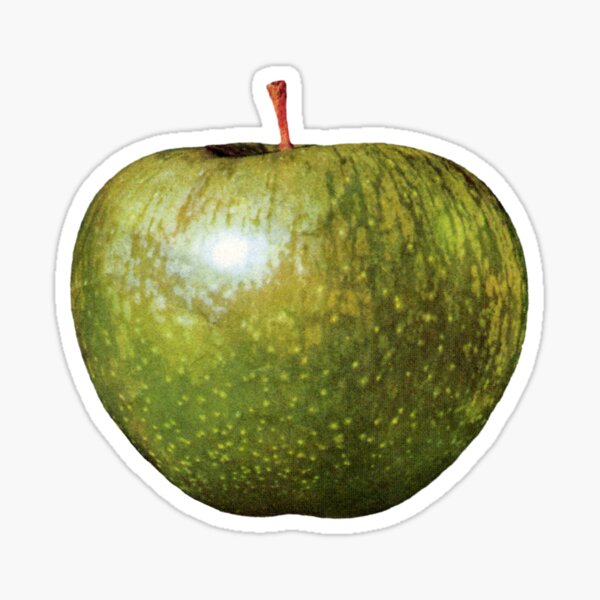 Green Apple Stickers for Sale Redbubble