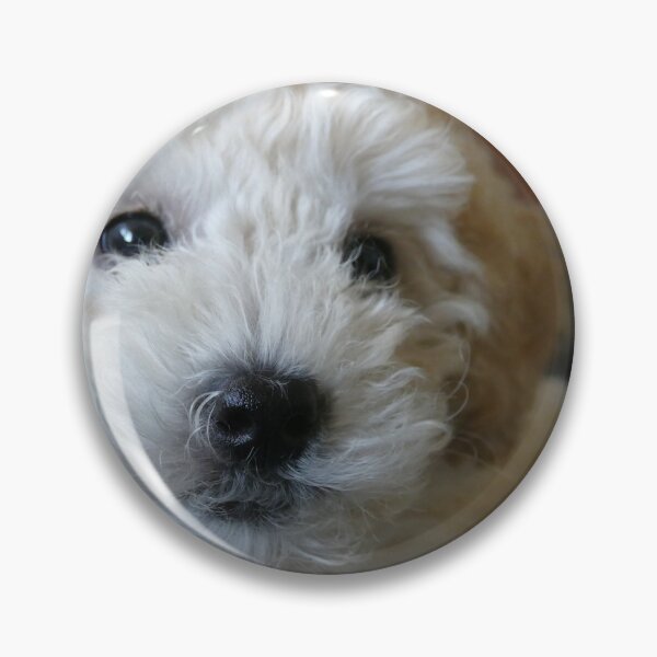 Item preview, She was adorable then. designed and sold by mark alan perry.