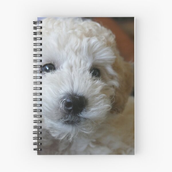 Item preview, She was adorable then. designed and sold by mark alan perry.