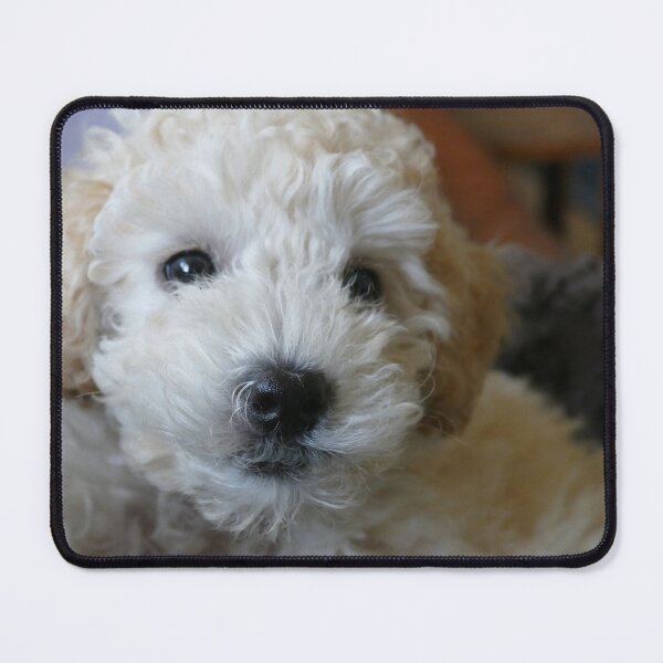 Item preview, She was adorable then. designed and sold by mark alan perry.