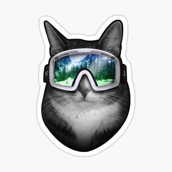 Cats in glasses - ski snowboard goggles Sticker