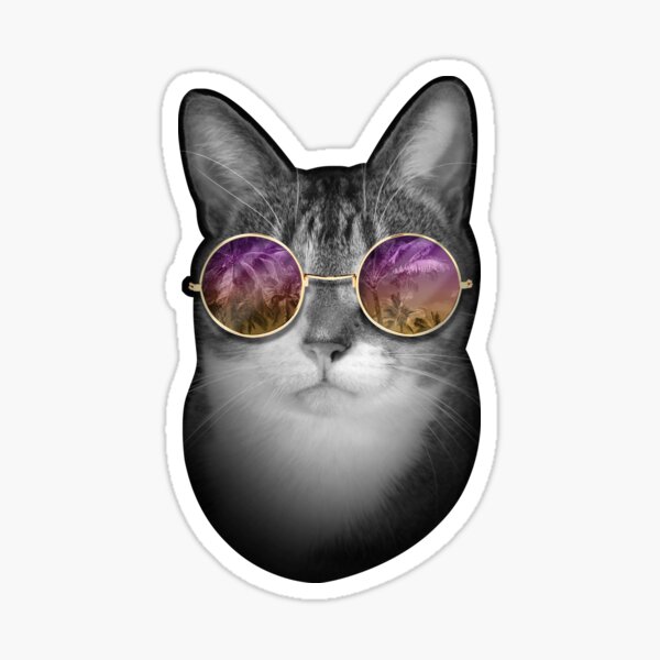 Cats in glasses - aviators Sticker