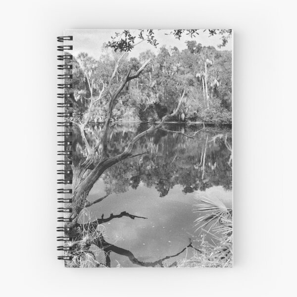 Item preview, Myakka River Wilderness designed and sold by Bill Wetmore.