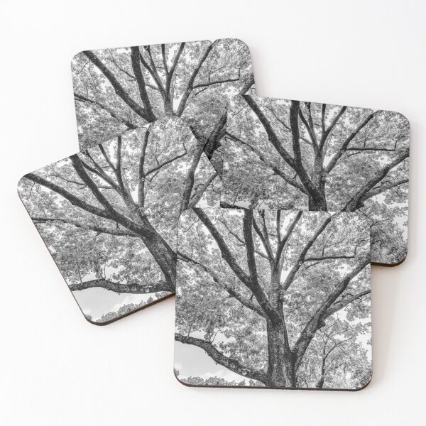Item preview, Black and White Tree At The Cheekwood Estate and Gardens Nashville Tennessee designed and sold by DaveFilm.