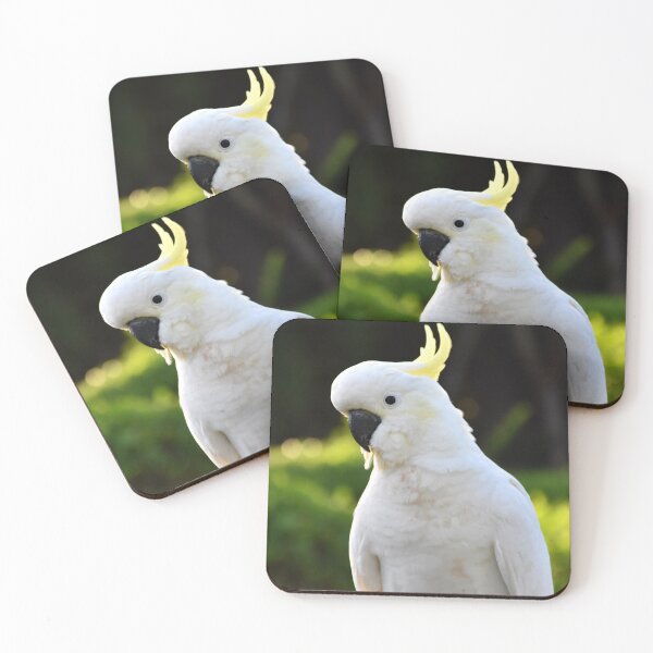 Item preview, Sulphur Crested Cockatoo Photography designed and sold by Digitaldingo.