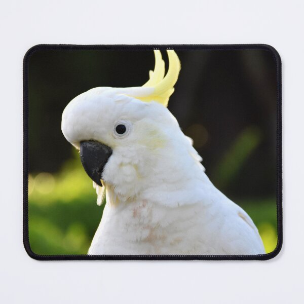 Item preview, Sulphur Crested Cockatoo Photography designed and sold by Digitaldingo.