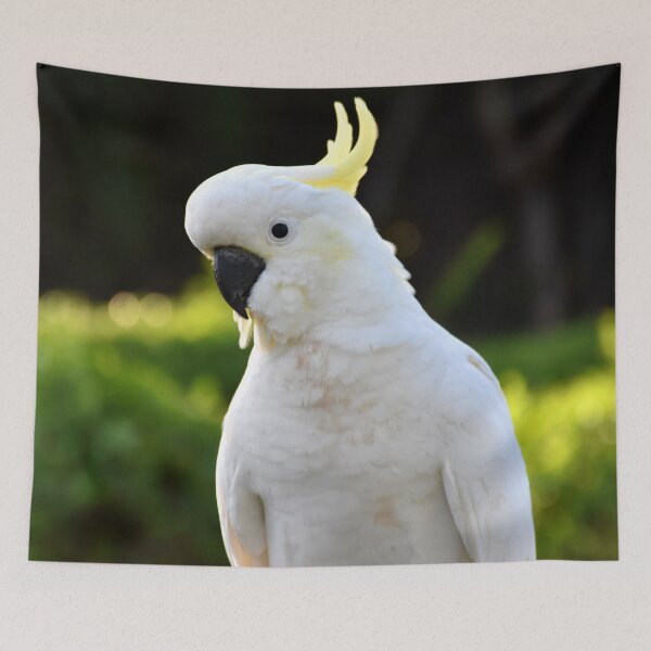 Item preview, Sulphur Crested Cockatoo Photography designed and sold by Digitaldingo.