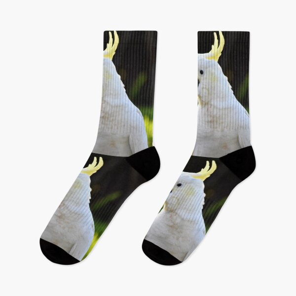 Item preview, Sulphur Crested Cockatoo Photography designed and sold by Digitaldingo.