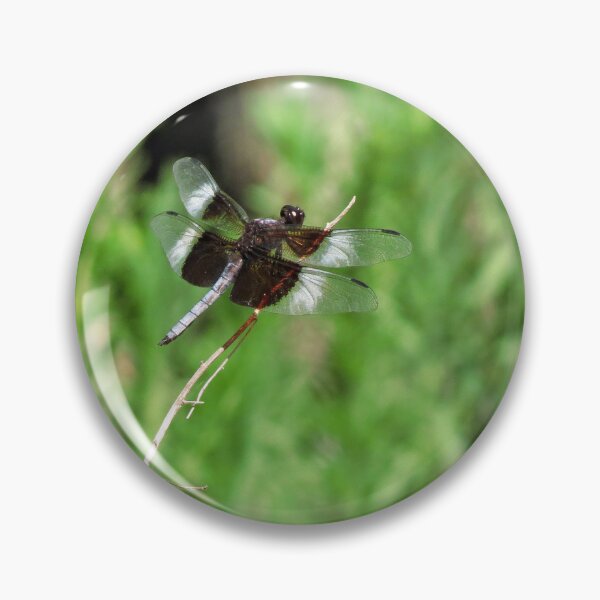 Item preview, Dragonfly on a stick on my trail designed and sold by NC NatureVisions.